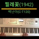 찔레꽃(1942)-백난아(C-T120) 이미지