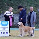 부마클럽 이미지