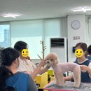 애견미용학원