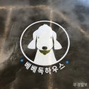 케어독 하우스 이미지