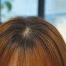 연아헤어 이미지