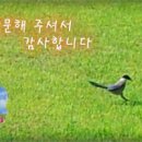 구례밀영농조합법인 이미지