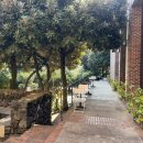 칠십리로 | 제주 서귀포 카페 [테라로사 서귀포점] 내돈내산 커피맛집 (주차장, 디저트 후기)