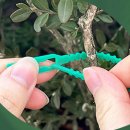 갈렙농장 이미지