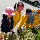 산월초등학교 이미지