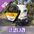 우도낚시 | 우도 전기스쿠터 전기차 내돈내산 2인승 후기 우도낚시