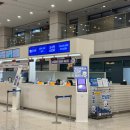 P-6931 | 인천공항 이스탄불 터키항공 TK091 체크인 후기(OZ6931 아시아나 공동운항)