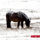 오해피데이 이미지