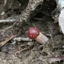 양산신-2025 이미지