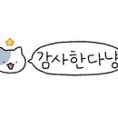 여수 리베라 풀빌라 리조트 이미지