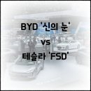 신의전천후게이트볼장 게이트볼장 | BYD ‘신의 눈’ vs 테슬라 FSD: 실제 주행부터 가격까지 자율주행 기술 완전 비교