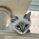 아이온메디컬 이미지