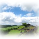 안덕면 신신펜션 이미지