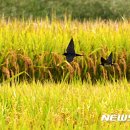남해-남해-남해-비-2 이미지