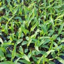 북두농장 이미지