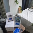원주 꽃집 추천! 감성 가득한 플라워드파리 방문 후기 공유!