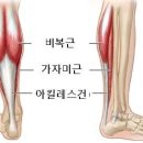 반반피트니스 이미지