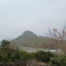 무성상사 | 각시바위오름 (제주도 오름 40)탐방 후기