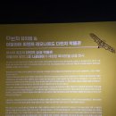 속초 감성 전시 여행 실내데이트 피노디아 &amp; 엑스포타워 후기