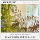 샤론헤어스튜디오 | 돌잔치 장소 견적 비용포함 장단점 비교분석 - 3.경기 남부 1편 (카페사송, 아브릴모마, 로즈오브샤론 등)