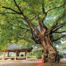 구봉영당 이미지