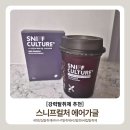 강력탈취제 추천, 화장실 악취제거/ 스니프컬처 에어가글 사용후기