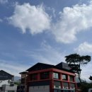 힐링 토마토 사우나 이미지