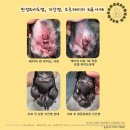 해온동물병원 이미지