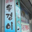 금강올갱이 이미지