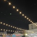 낭만지구인 | 요즘 뜨는 동해 묵호 여행 코스 추천🌊감성과 낭만 다 챙기고 짧게 즐기기