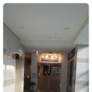 배움영어학원 | 창곡동 영어교육 위례 제니스영어학원 방문 후기: 아이의 성장과 배움의 즐거움을 함께