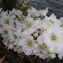 성림농장 이미지