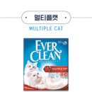 에버크린 이미지