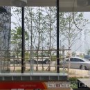 새봄약국 이미지