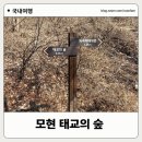 용인 아이랑 갈만한곳 태교의숲 주차 등산코스 숲길