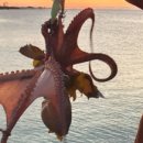 항구낚시터 이미지