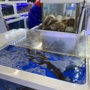 개봉중앙시장 | 삼척회포장 삼척대왕횟집 중앙시장 오징어회 포장후기