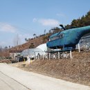 푸른들농장 Daum카페