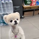 현송한의원 이미지