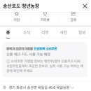 송산포도로 이미지