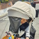 삼천리자전거단계점질주의자전거 | 내돈내산 삼천리자전거 2026케디 세발자전거 유모차 신상 후기(17개월 아기 등하원 필수템)