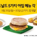 1000 이미지