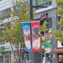 문화예술협동조합 나무숲 | 어린이공연 추천 세종문화예술회관 호랑이의 꽃길 관람 후기