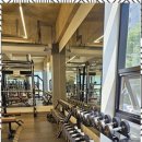 식스팩 휘트니스 | 포항헬스 식스팩 체험 후기: 제대로 된 트레이닝을 경험하다