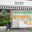 젤라떼리아피오니 이미지