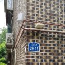 안산화정초등학교 이미지