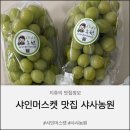 임고면-양평리-4 | 샤인머스켓 내돈내산 추천 샤사농원 재구매 후기 _ 설선물로 추천