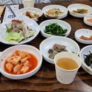 조지골흑염소기러기 이미지
