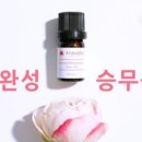 어썸프레시 이미지