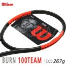 TEAM BURN 이미지